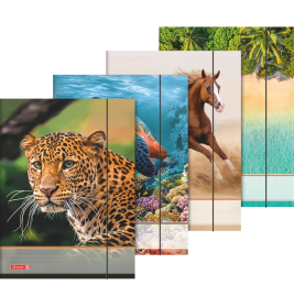 Sammelmappe A3 Tiere Gummizug