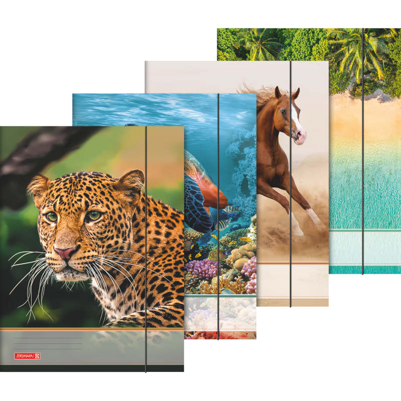 Sammelmappe A3 Tiere Gummizug