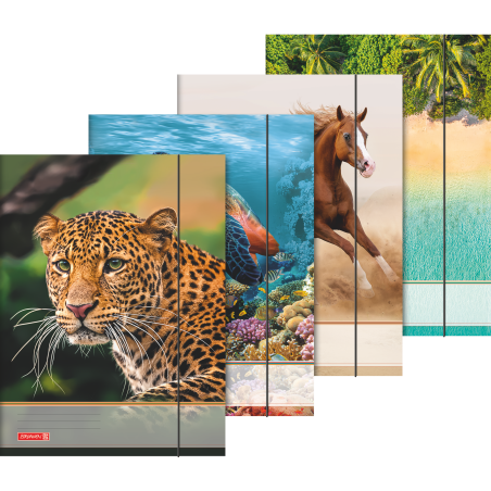 Sammelmappe A3 Tiere Gummizug