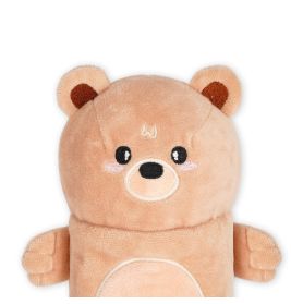 PLUSH PENCIL CASE - TEDDY BEAR