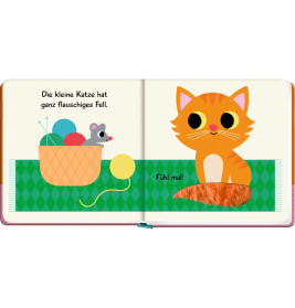 Mein Fühlbuch: Kleine Katze