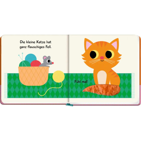 Mein Fühlbuch: Kleine Katze