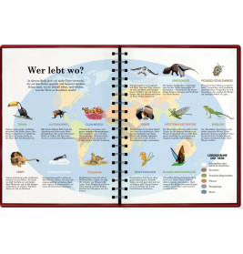 Mein riesengroßes WimmelSuchBuch: Tiere in aller Welt - Über 40 x Tiere suchen und entdecken