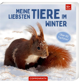 Meine liebsten Tiere im Winter