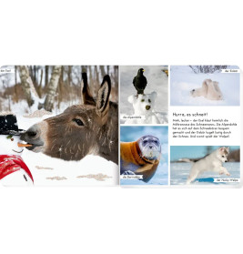 Meine liebsten Tiere im Winter