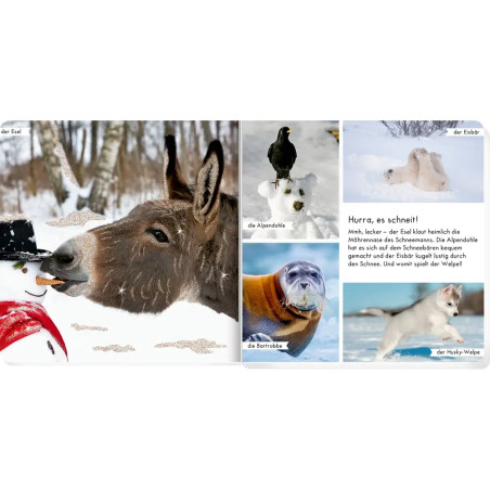 Meine liebsten Tiere im Winter