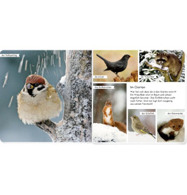 Meine liebsten Tiere im Winter