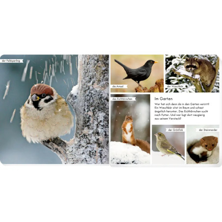 Meine liebsten Tiere im Winter