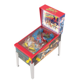 Streetfighter Collectible Pin