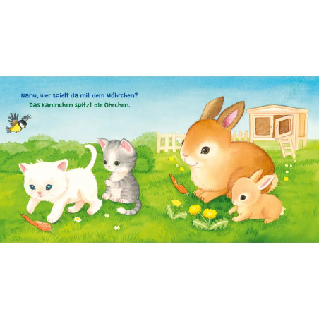 Baby Pixi (unkaputtbar) 164: Baby Pixi Stoff: Meine ersten Lieblingstiere