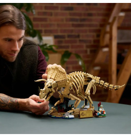 LEGO® Jurassic World™ 77985 Dinosaurier-Fossilien: Triceratops