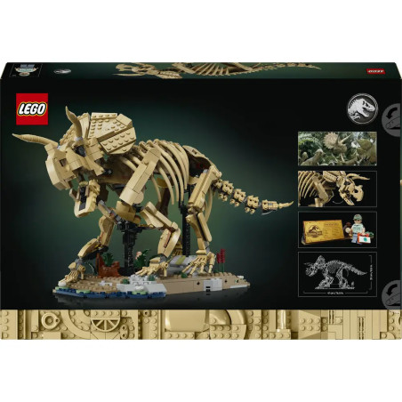 LEGO® Jurassic World™ 77985 Dinosaurier-Fossilien: Triceratops