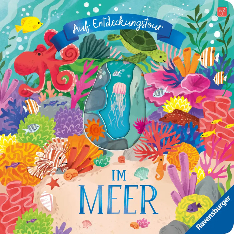 Auf Entdeckungstour: Im Meer