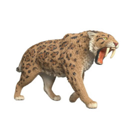 Säbelzahntiger