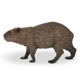 Capybara