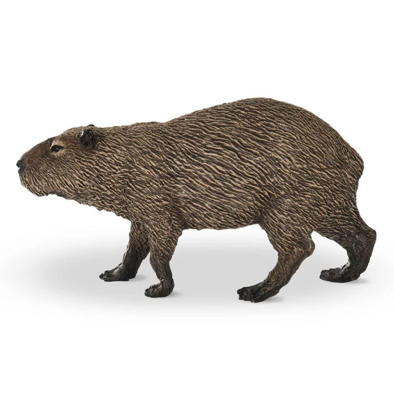 Capybara