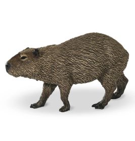 Capybara