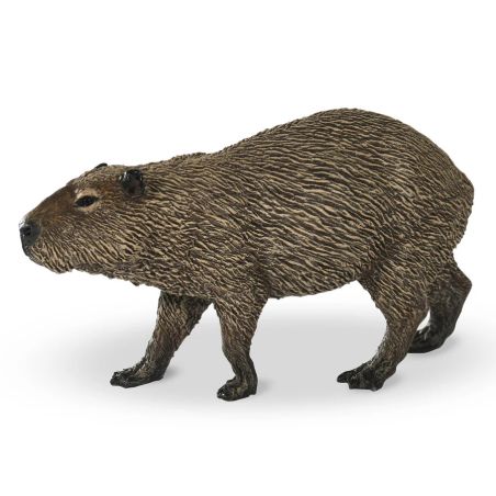 Capybara