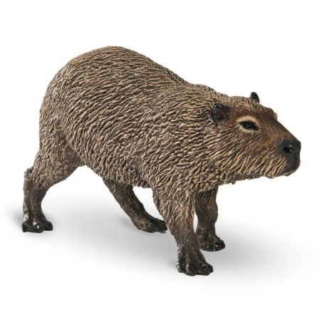 Capybara