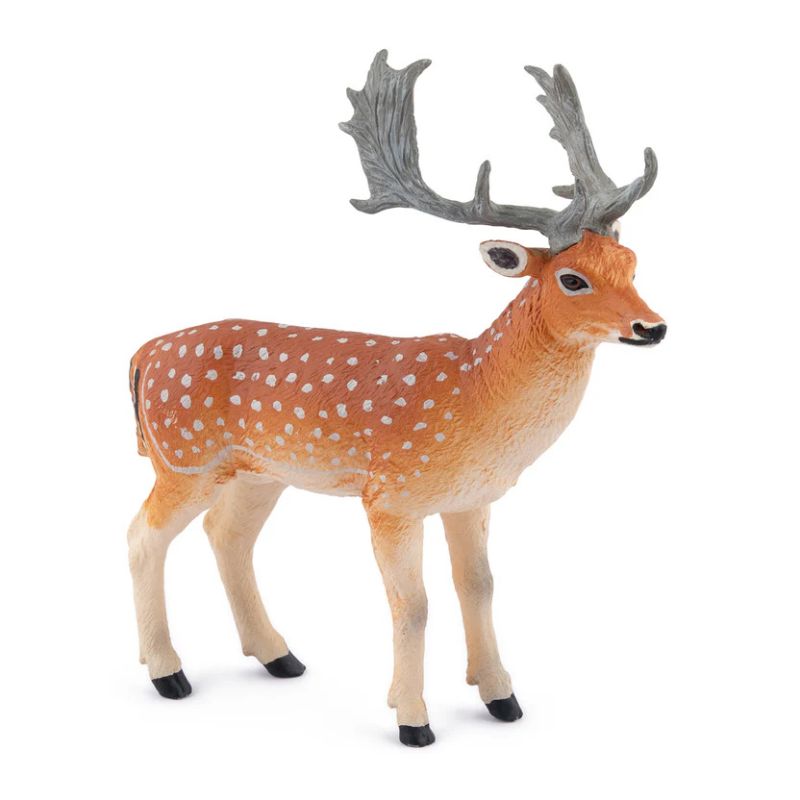 Damhirsch