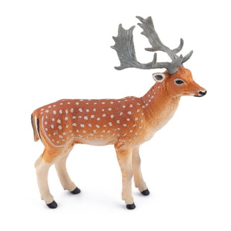 Damhirsch