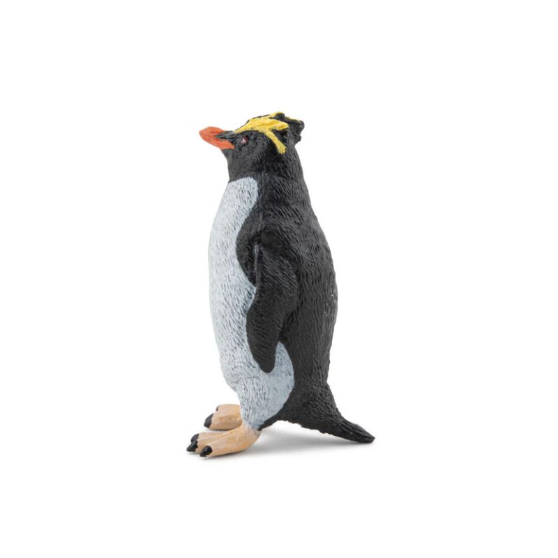Goldschopfpinguin
