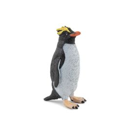 Goldschopfpinguin