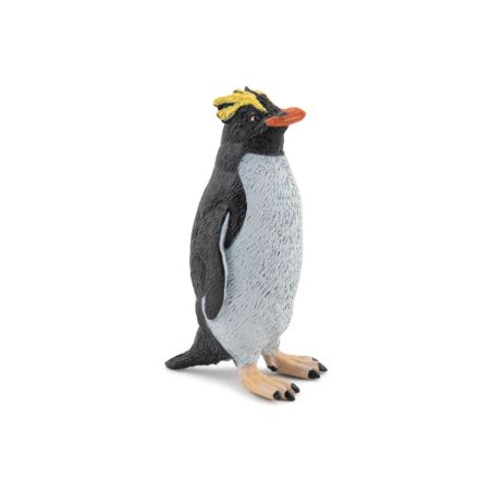 Goldschopfpinguin