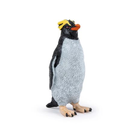 Goldschopfpinguin