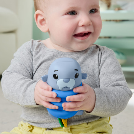 Mattel Fisher-Price 2 in 1 Pop Up Rassel – Greifspielzeug für Babys | Fördert Sinne
