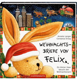 Weihnachtsbriefe von Felix