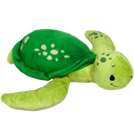 Liebling-Schildkröte
