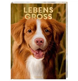 Lebensgroß - Hunde, unsere Gefährten