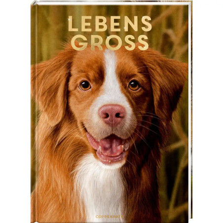 Lebensgroß - Hunde, unsere Gefährten