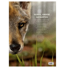 Lebensgroß - Hunde, unsere Gefährten