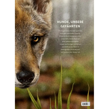 Lebensgroß - Hunde, unsere Gefährten