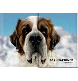 Lebensgroß - Hunde, unsere Gefährten
