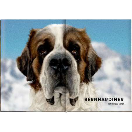 Lebensgroß - Hunde, unsere Gefährten