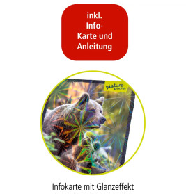 3D Mini-Bausatz - Bär