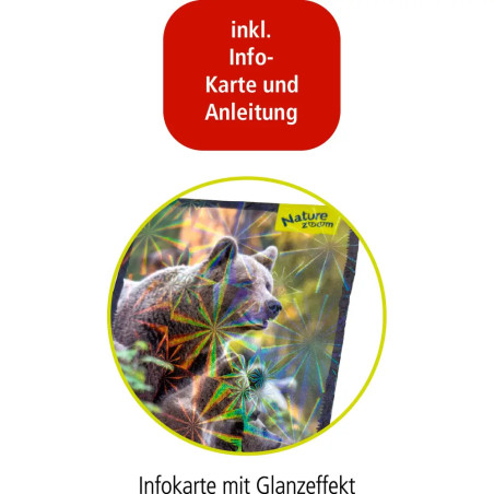 3D Mini-Bausatz - Bär