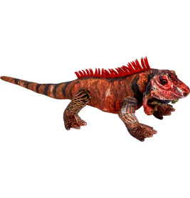 Roter Leguan