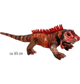 Roter Leguan