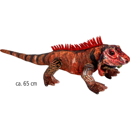 Roter Leguan