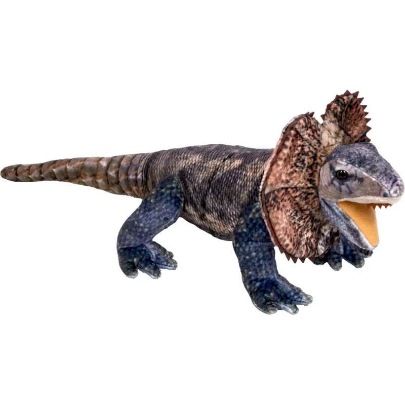 Kragenechse