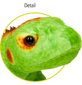 Grüne Eidechse
