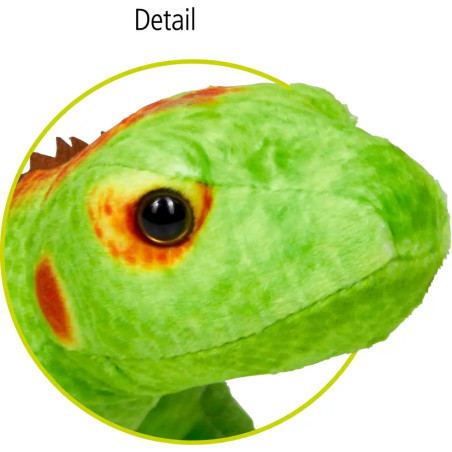 Grüne Eidechse
