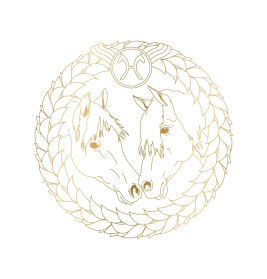 Metallic-Malen - Mit goldenen Motiven / Bicolor-Buntstifte: 8 Metallic-Farben