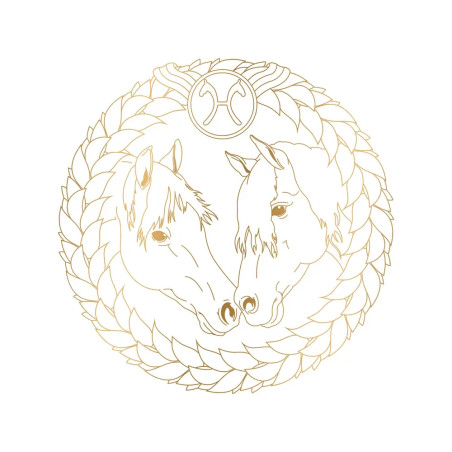 Metallic-Malen - Mit goldenen Motiven / Bicolor-Buntstifte: 8 Metallic-Farben