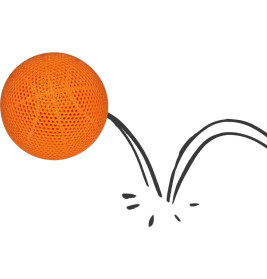 Mini-Basketball