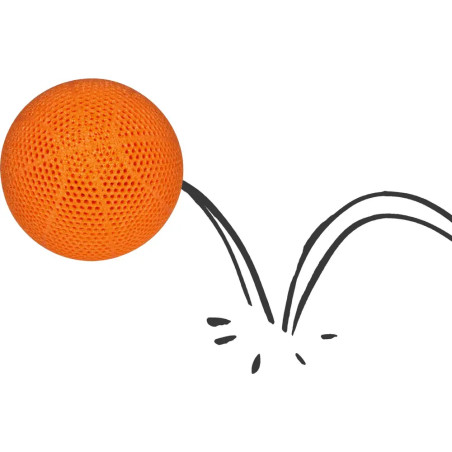 Mini-Basketball